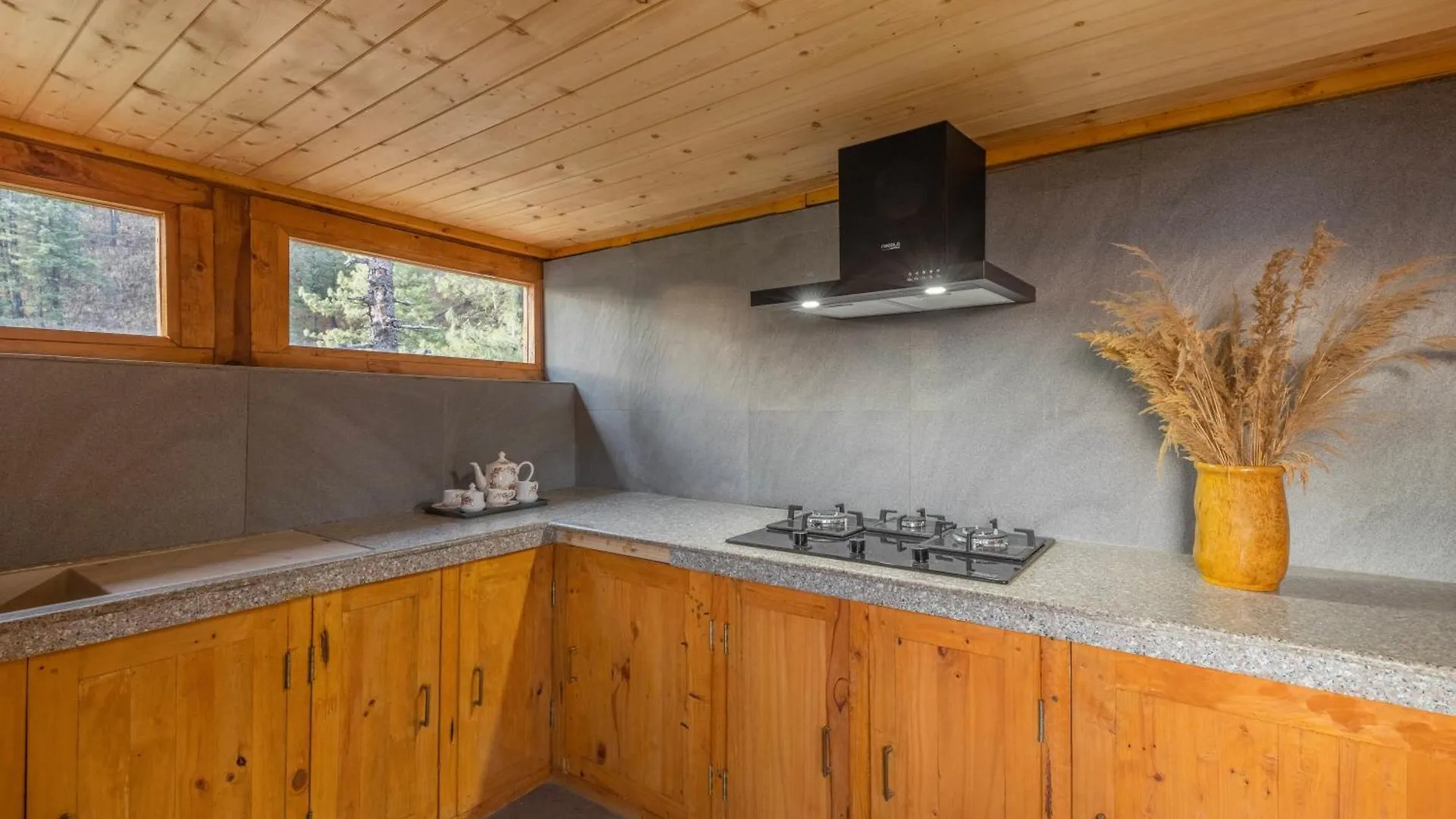 Elivaas 4 Bhk With Garden & Sauna - Skylounge Shimla Villa