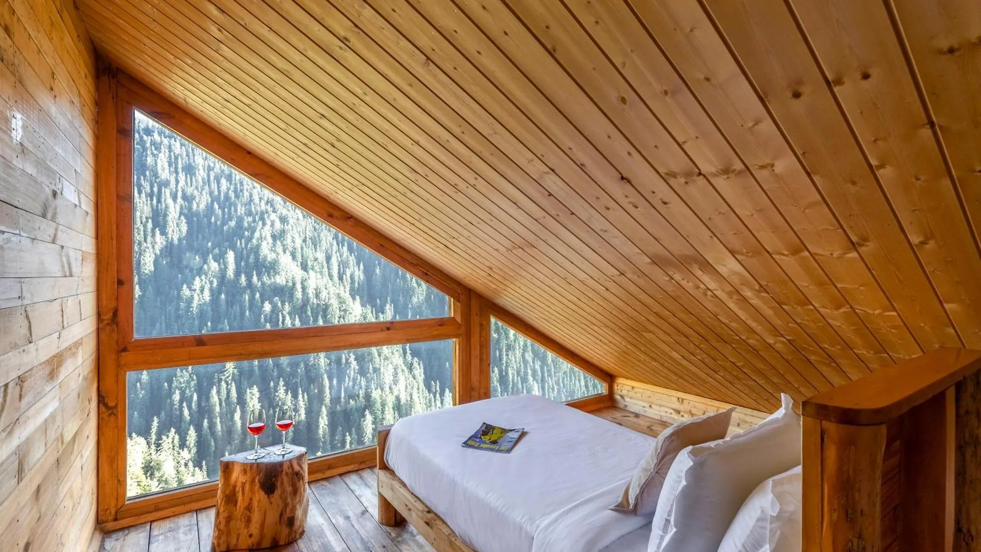 Elivaas 4 Bhk With Garden & Sauna - Skylounge Shimla Villa