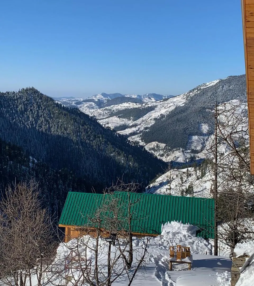 Elivaas 4 Bhk With Garden & Sauna - Skylounge Shimla Villa